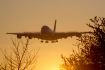 Airbus A380-842